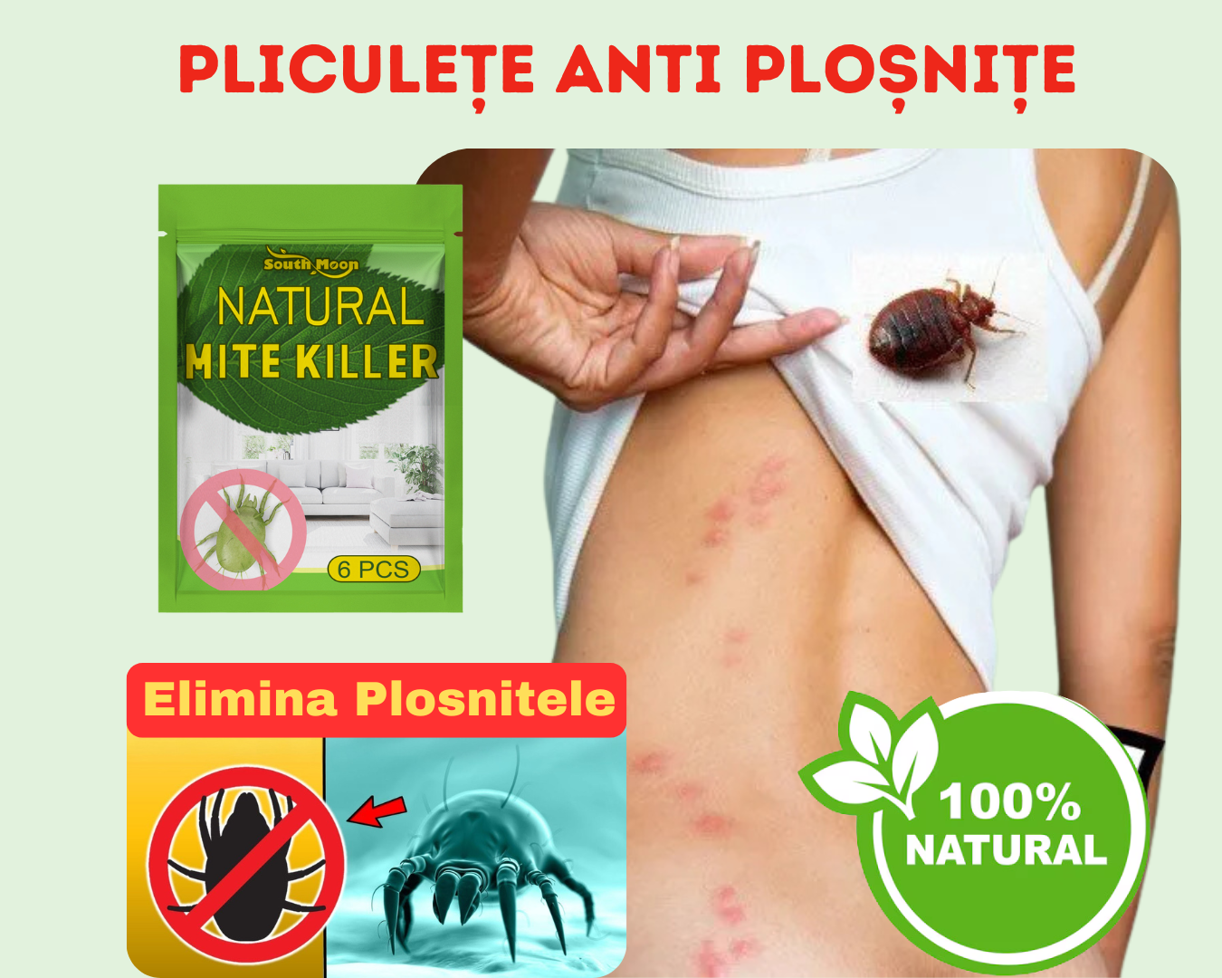 Plic acarieni